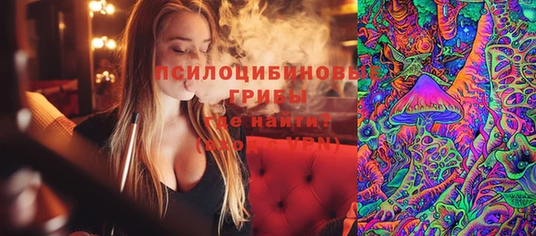 кокаин Белокуриха