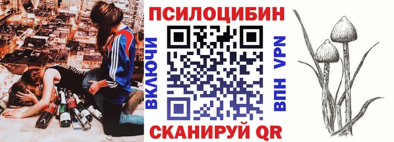 хочу наркоту  Калининец  Псилоцибиновые грибы мицелий 